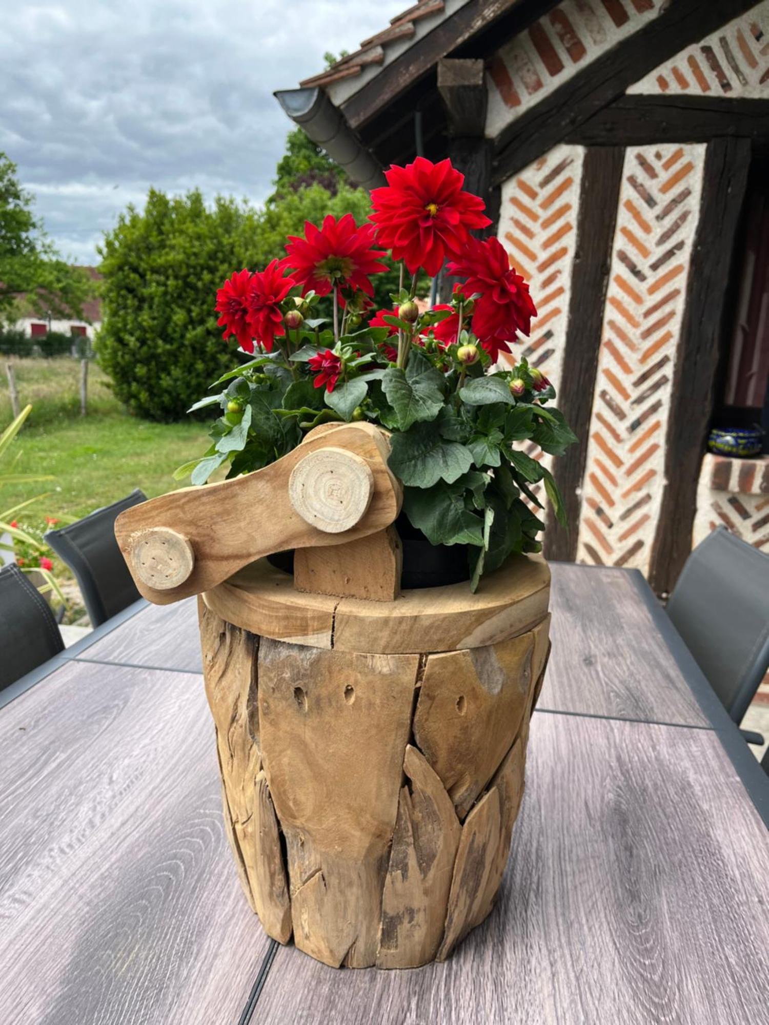 Bed and Breakfast Oh ! Fleurs Des Champs Chaumont-sur-Tharonne Exterior foto